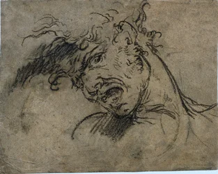 絶叫男の頭、1792年。