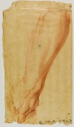 ハンターの左腕