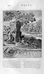 メレス川、1615年