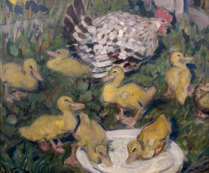 アヒルの子とめんどり