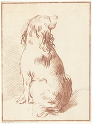 座っている犬