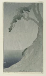 雨