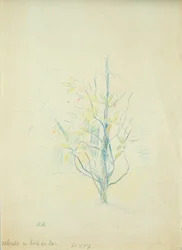湖畔の茂み、1893年（紙に色鉛筆）