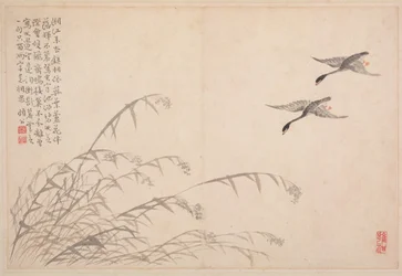 書画帖