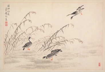 書画帖