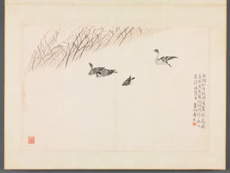 書画帖