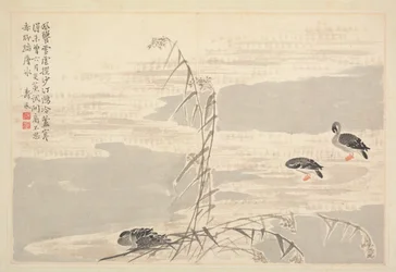 書画帖