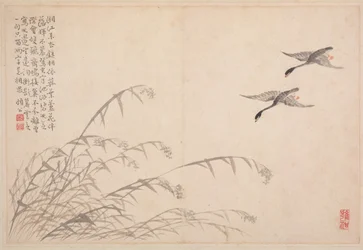 書道と絵画のアルバム、18世紀。