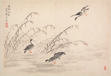 書道と絵画のアルバム、18世紀。