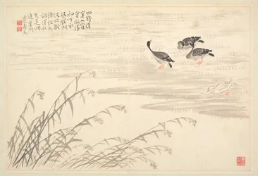 書道と絵画のアルバム、18世紀。
