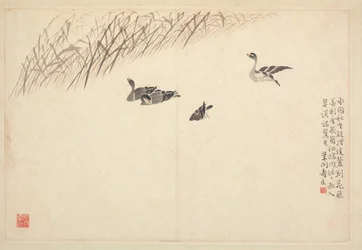 書道と絵画のアルバム、18世紀。