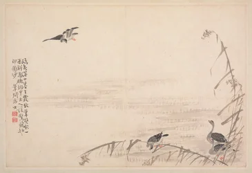 書道と絵画のアルバム、18世紀。