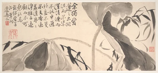 蓮の葉と水葦（アルバムリーフ、紙にインク）