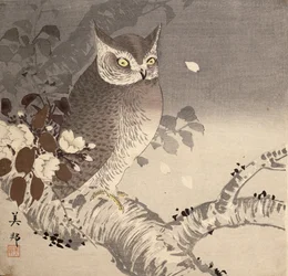 木の枝にフクロウ