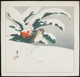雪の中の鳥、20 世紀初頭