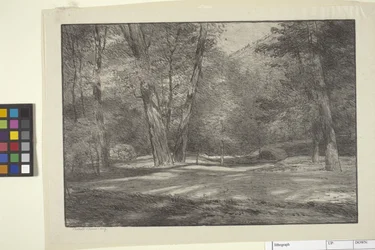 Sierra Woods (muste paperille)