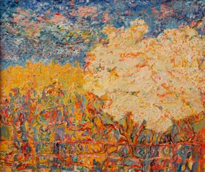 ニワトコの木II