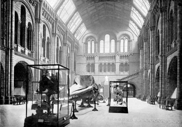 自然史博物館のエントランスホール、サウスケンジントン、ロンドン、1890