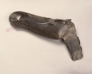 紀元前2000年、ウラル山脈のエカテリンブルク出身のメスのエルクの頭（紀元前2000年）