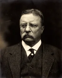 セオドア・ルーズベルト、1915年頃（白黒写真）