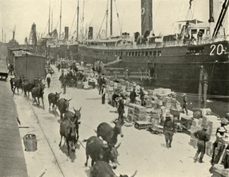1898年6月10日、1899年、アメリカフロリダ州ポートタンパでの軍隊。