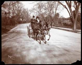 アンナヘルドとフローレンツジーグフェルドが1904年にニューヨークの馬車を運転（銀ゼラチンプリント）