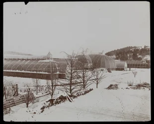 1894年、ニューヨークのタリータウンにあるヘレングールド邸（ジェイグールド邸後期）の雪の中の温室（銀ゼラチンプリント）