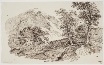 木のある山の風景