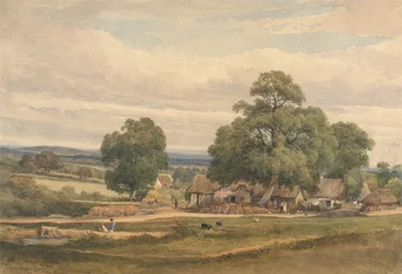 Emerey Down near Lyndhurst, New Forest, Hants (水彩・グラファイト・紙)
