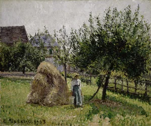 エラニーのリンゴの木、晴れた朝、1903