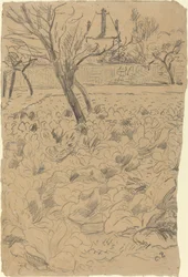 キャベツ畑、c。 1880年。