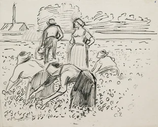 畑仕事をする5人の農民の習作 1887年