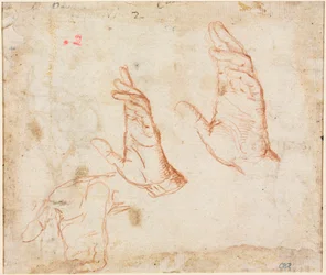 Hands versoの研究c。 1590。