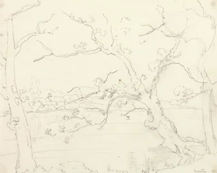 ボーリュー、ハンプシャー