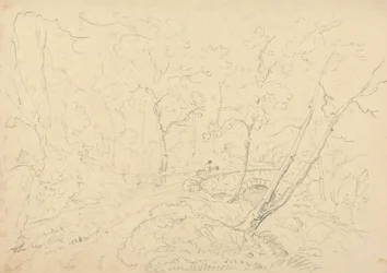 Holne Chase Bridge and River, 30. toukokuuta 1833