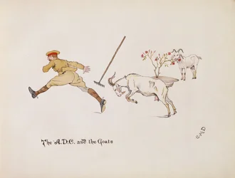 ADCとヤギ、Ladysmith of Ladysmith、1900年