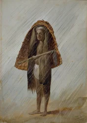 Concan Coonbie 栽培者、インド