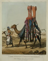 「北アフリカの旅の物語」、パブからデニス・ダイトン（1792-1827）プレート16によって刻まれた、夫に花嫁を運ぶキャメル。 1821
