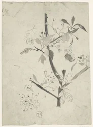 花の枝