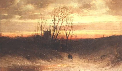 夕方の森の風景