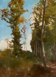 プルカースドルフ近郊の森林伐採