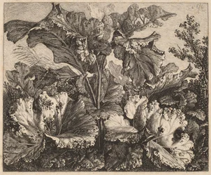 小さな植物の研究: ごぼう、左側の繊細な草の房