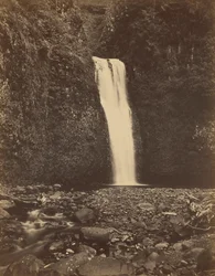 コロンビア川、マルトノマ滝（1867年）（写真