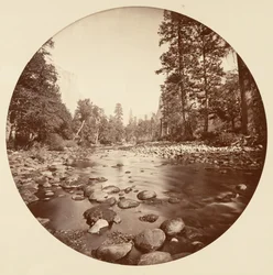 [ヨセミテ国立公園、カリフォルニア]、1878年頃。