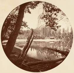 [ヨセミテ国立公園、カリフォルニア]、1878年頃。