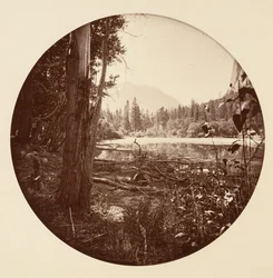 [カリフォルニア州ヨセミテ国立公園]、1878年頃。