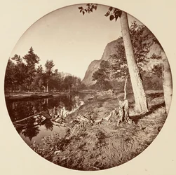 [ヨセミテ国立公園、カリフォルニア州]、1878年頃。