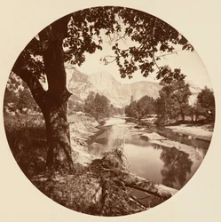 ［ヨセミテ国立公園、カリフォルニア］、1878年頃。