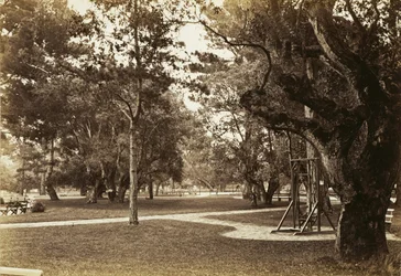 [ホテル・デル・モンテ近くの公園、モントレー？]