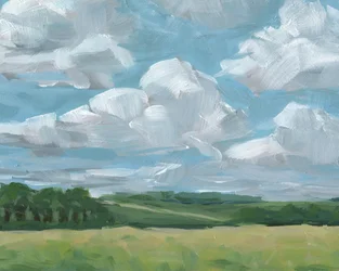 野原に広がる夏の空